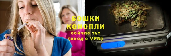 прущие крисы Бородино