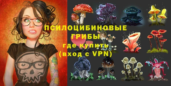 Альфа ПВП Бугульма