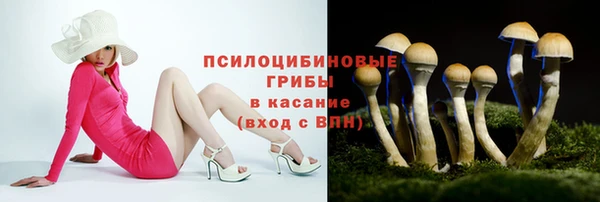Альфа ПВП Бугульма