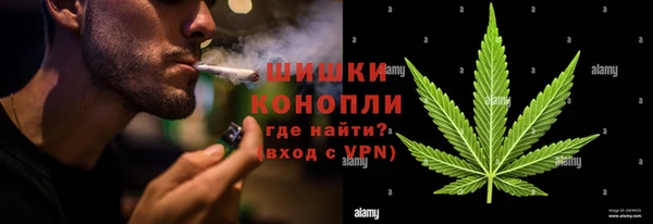 дурь Бронницы