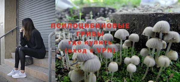 дурь Бронницы