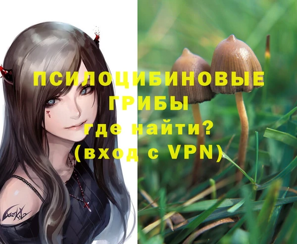 дурь Бронницы