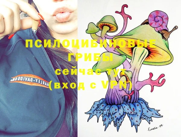 дурь Бронницы
