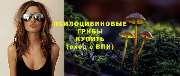 дурь Бронницы